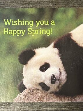 4/9 🌺💜 Live show listing 💜